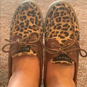 Leopard sperry’s
